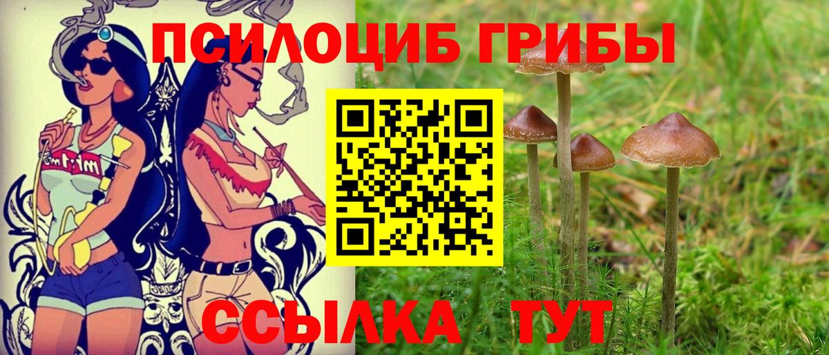 Псилоцибиновые грибы ЛСД  Вход с VPN  Благовещенск 